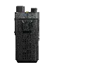 EN_P50_PoC+Radio_1+(1).webp